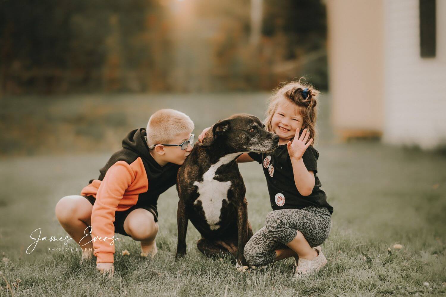 Two children and a dog are playing together.